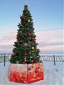 Новогодние праздникиКартинка для анонса/images/news/2021/ny/elka_glavnoe_foto.jpg